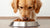 How Much Dog Food for a 45 lb Dog: A Comprehensive Guide-140549030127