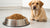 How Much Dog Food for a 50 lb Dog: A Comprehensive Guide for Pet Owners-140549128431
