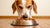 How Much Dog Food for Adult Dog: A Comprehensive Guide for Pet Owners