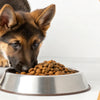How Much Dog Food Should a German Shepherd Puppy Eat? A Comprehensive Guide for New Owners
