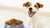 How Much Dog Food Should I Be Feeding My Dog? A Comprehensive Guide-140852658415
