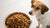 How Much Dog Food Should I Feed My Dog?-140859146479