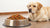 How Much Dog Food Should You Feed a 60 lb Dog?-140552405231