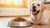 How Much Dog Food to Feed a 50lb Dog: A Comprehensive Guide for Pet Owners