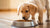 How Much Dog Food to Feed a Puppy Per Day: A Comprehensive Guide
