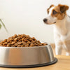 How Much Dog Food to Feed Your Dog: A Comprehensive Guide