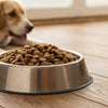 How Much Dog Food to Give: A Comprehensive Guide for Pet Parents