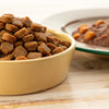 How Much Dry and Wet Food for Your Dog: The Ultimate Guide