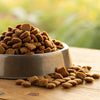 How Much Dry Dog Food Do You Feed a Puppy? A Comprehensive Guide for Pet Parents