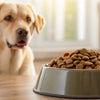 How Much Dry Dog Food for a 55 lb Dog: A Comprehensive Guide