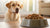 How Much Dry Dog Food for a 55 lb Dog: A Comprehensive Guide