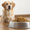 How Much Dry Dog Food for a 60 lb Dog: A Comprehensive Feeding Guide