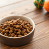 How Much Dry Dog Food for a 70 lb Dog: A Comprehensive Feeding Guide