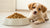 How Much Dry Dog Food for Puppy: A Comprehensive Guide to Feeding Your Growing Dog