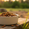 How Much Dry Dog Food Per Day: The Ultimate Guide for Pet Owners