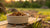 How Much Dry Dog Food Per Day: The Ultimate Guide for Pet Owners
