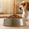 How Much Dry Dog Food Should a 15 Pound Dog Eat? A Complete Guide