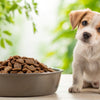 How Much Dry Dog Food Should You Feed a Puppy? A Comprehensive Guide