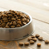 How Much Dry Dog Food Should You Feed Your 10 lb Dog?