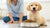 How Much Dry Dog Food to Feed a Puppy: A Comprehensive Guide for Pet Owners