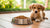 How Much Dry Dog Food to Feed Puppy: A Comprehensive Guide for New Dog Owners