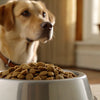 How Much Dry Food for a 60 Pound Dog: A Comprehensive Guide to Proper Feeding