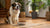 How Much Dry Food for a 65 lb Dog? A Comprehensive Feeding Guide