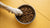 How Much Dry Food for My Dog? A Comprehensive Guide to Dog Feeding
