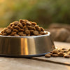 How Much Dry Food Per Day for Dog: A Comprehensive Guide for Pet Owners