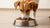 How Much Dry Food Should a 25 lb Dog Eat? A Comprehensive Guide for Pet Owners