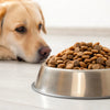 How Much Dry Food Should a 60 lb Dog Eat? A Comprehensive Guide for Pet Owners