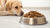 How Much Dry Food Should a 60 lb Dog Eat? A Comprehensive Guide for Pet Owners