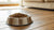 How Much Dry Food Should a Dog Eat? A Comprehensive Guide for Pet Owners