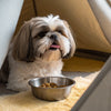 How Much Dry Food Should You Feed a 70 lb Dog? A Comprehensive Guide