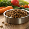 How Much Dry Food Should You Feed Your Dog? A Comprehensive Guide