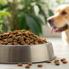 How Much Dry Food to Feed a 50 lb Dog: A Comprehensive Guide for Pet Owners
