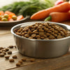 How Much Dry Food to Feed a Dog: A Comprehensive Guide for Pet Parents
