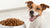 How Much Dry Food to Feed My Dog: A Comprehensive Guide