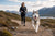 How Much Exercise Do Husky Dogs Need?