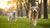 How Much Exercise Do Senior Dogs Need: A Comprehensive Guide for Pet Owners