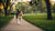 How Much Exercise Does a Dog Need to Lose Weight? A Comprehensive Guide for Pet Owners