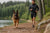 How Much Exercise Does a German Shepherd Dog Need?