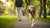 How Much Exercise Does a Senior Dog Need? Understanding Their Unique Needs