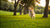 How Much Exercise Does a Small Dog Need? A Comprehensive Guide