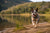 How Much Exercise Does an Australian Cattle Dog Need?