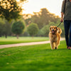 How Much Exercise Does Your Dog Really Need? A Comprehensive Guide