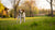 How Much Exercise Should a Dog with Hip Dysplasia Get?