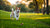 How Much Exercise Should Dogs Get Per Day? A Comprehensive Guide for Pet Owners