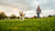 How Much Exercise Should My Dog Get? A Comprehensive Guide for Pet Owners