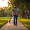 How Much Exercise Should My Dog Get Per Day? A Comprehensive Guide for Dog Owners